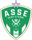 Saint Etienne badge