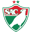 Salgueiro badge