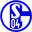 Schalke 04 U19 badge