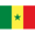 Senegal U17 badge