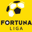 Super Liga badge