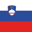 Slovenia U19 W badge