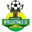 Soccer Intellectuals badge
