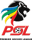 Premier Soccer League badge
