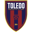 Toledo badge