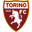 Torino badge