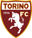 Torino U20 badge