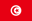 Tunisia U20 badge