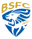 Union Brescia badge