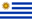Uruguay U20 badge