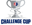 NWSL Women - Challenge Cup badge