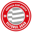 Viitorul Arad badge