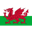 Wales U17 badge