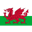 Wales U19 W badge