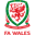 Wales U21 badge