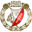 Widzew Łódź badge