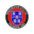 Winchester City badge