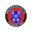 Winchester City Flyers badge