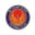 Witham Town badge