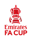 Emirates Cup badge