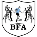 Black Lions badge