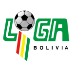 Primera División badge