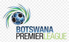 Premier League badge