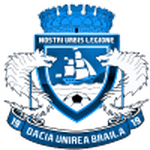 Braila badge