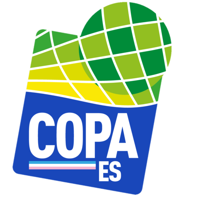Copa Espírito Santo badge