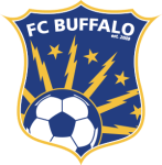 Buffalo badge