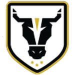 Bulls Academy badge