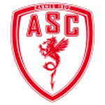 Cannes badge