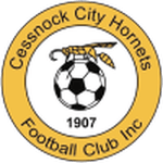 Cessnock City Hornets badge