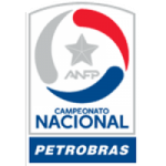 Primera División badge