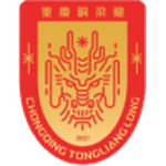 Chongqing Tongliang Long badge