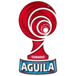 Primera B badge
