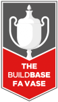 FA Trophy badge