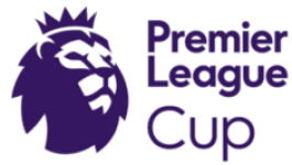 Premier League Cup badge