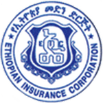 Ethiopian Medhin badge