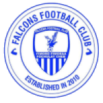 Falcons badge