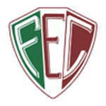 Fluminense PI badge