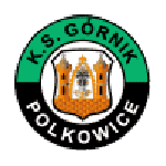 Górnik Polkowice badge