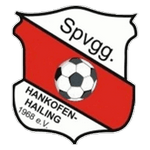 Hankofen-Hailing badge