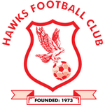 Hawks badge