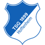 Hoffenheim U19 badge