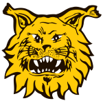 Ilves W badge