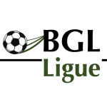 National Division badge
