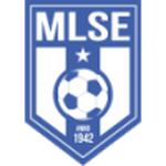 Martfűi LSE badge