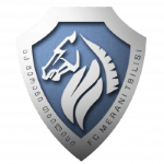 Merani Tbilisi badge