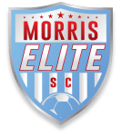 Morris Elite W badge